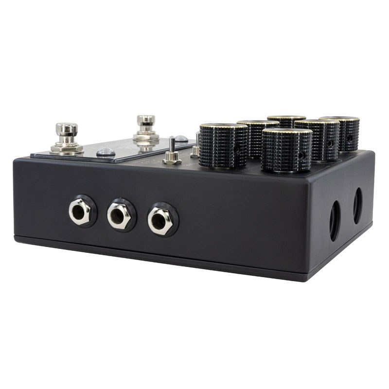 WALRUS AUDIO MERAKI ANALOG DELAY Blacked Out Limited Edition 画像1