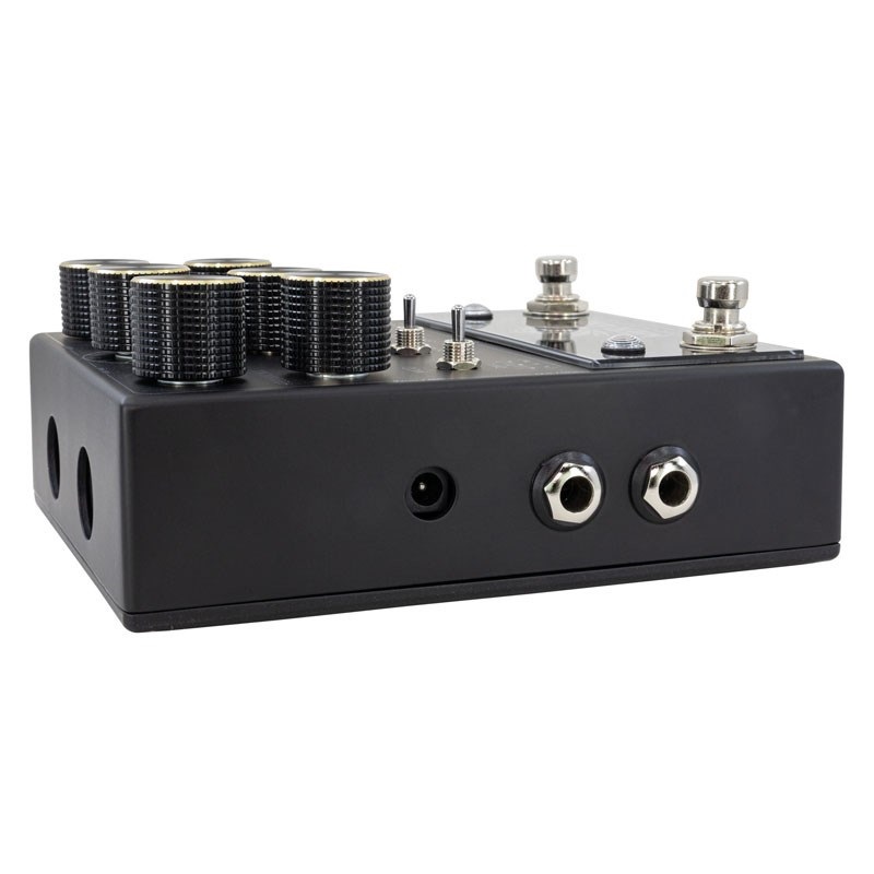 WALRUS AUDIO MERAKI ANALOG DELAY Blacked Out Limited Edition 画像3