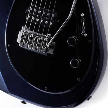 TOKAI TALBO 40th ANV Platinum Black Wilkinson Upgrade Limited 画像4