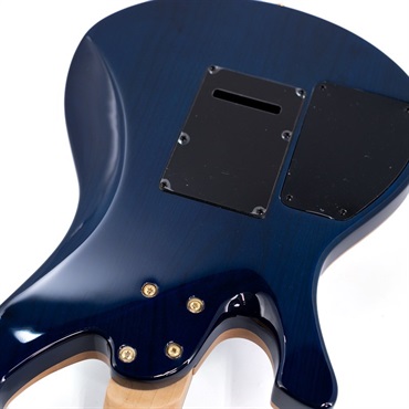 MD Guitars MD-Premier MD-G4 / TR (See-through Blue)【特価】 画像9