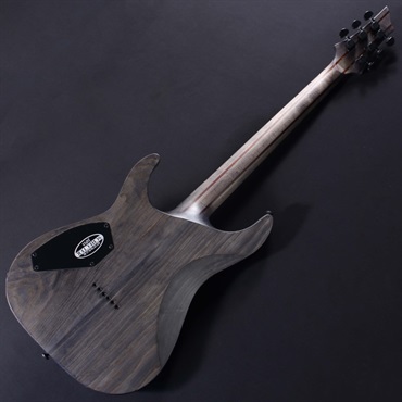 SCHECTER C-1 APOCALYPSE [AD-C-1-APOC] (RG) ｜イケベ楽器店