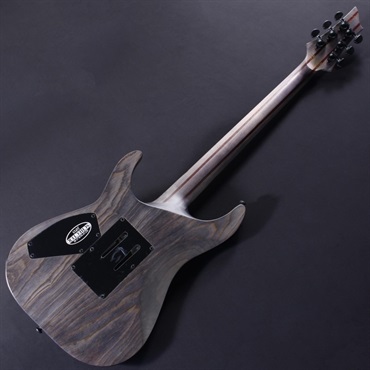 SCHECTER C-1 FR APOCALYPSE [AD-C-1-FR-APOC](RG) ｜イケベ楽器