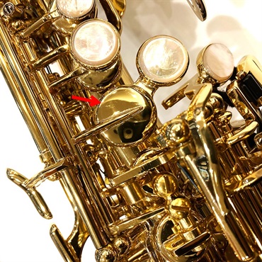 Selmer Paris 【アウトレット特価!!】ソプラニーノサックス セルマー SA-80II(シリーズ2) ジュビリー GL w/e(彫刻付) 【調整&セットアップ後出荷】【5年間キーバランス調整無料】 画像8