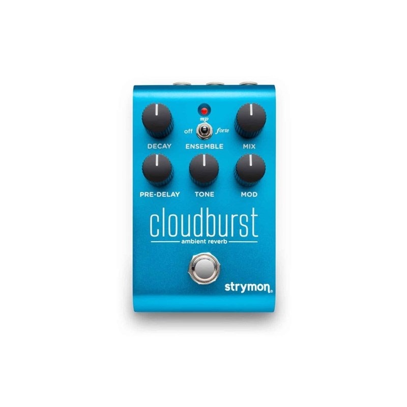 strymon CloudBurst 画像1