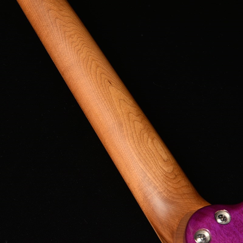 Bacchus Universe Series TAC24 FMH-RSM/M (N-MGT-B) 画像6