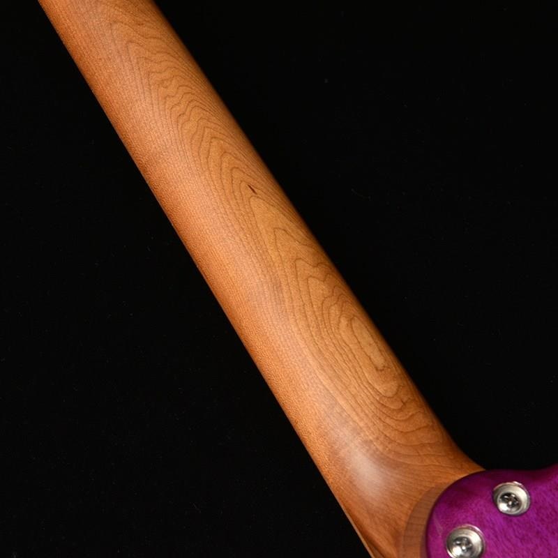 Bacchus Universe Series TAC24 FMH-RSM/M (N-BL-B) 画像3