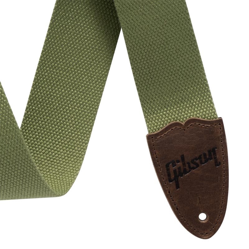 Gibson The Canvas (Green)【ASCNVS-GRN】 画像1