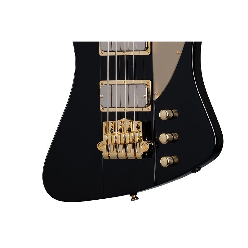 Epiphone Rex Brown Thunderbird ｜イケベ楽器店オンラインストア