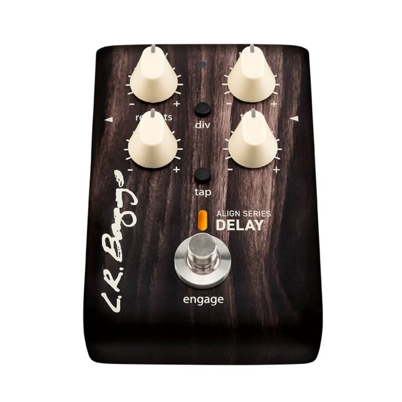 L.R.Baggs ALIGN Series Delay 画像3