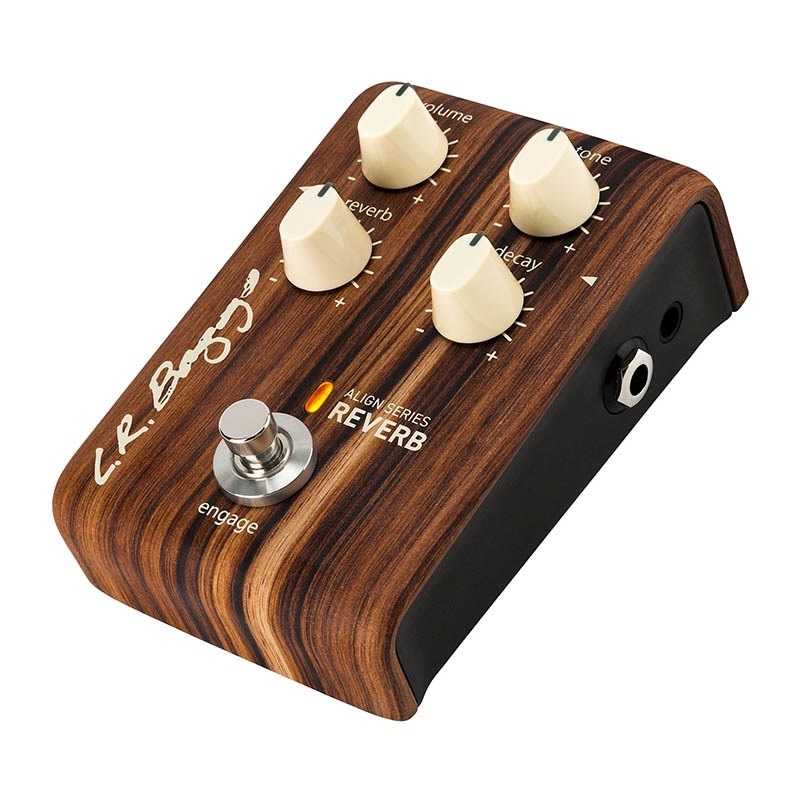 L.R.Baggs ALIGN Series Reverb 画像1