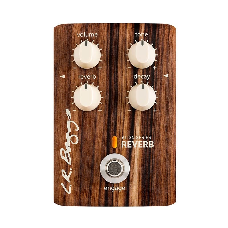 L.R.Baggs ALIGN Series Reverb 画像4