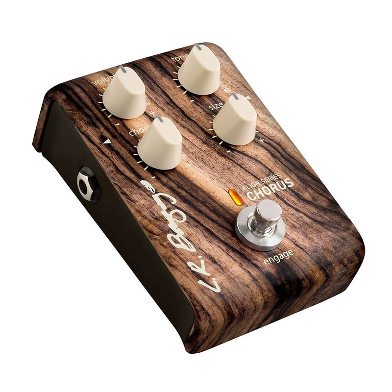 L.R.Baggs ALIGN Series Chorus 画像3