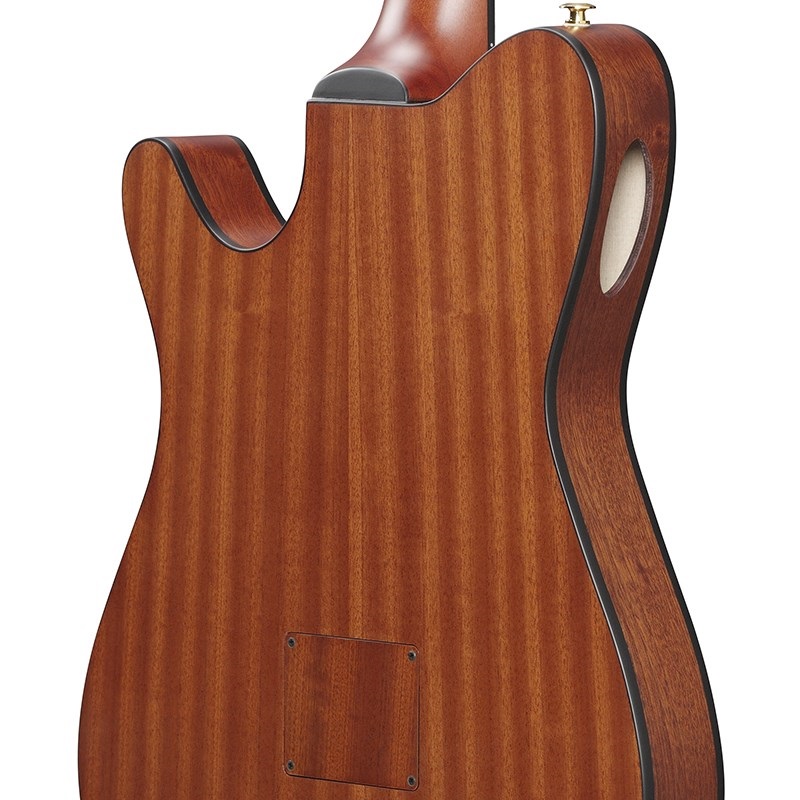 Ibanez FRH10N-IBF [SPOT MODEL] 画像3