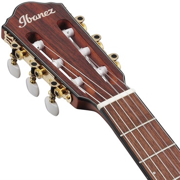 Ibanez FRH10N-IBF [SPOT MODEL] 画像5