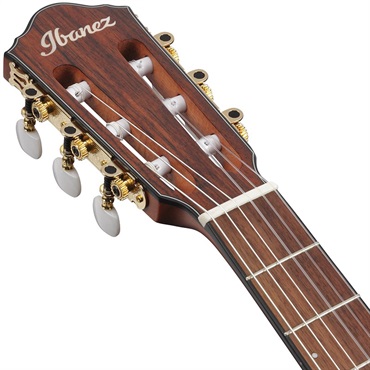 Ibanez FRH10N-RGF [SPOT MODEL] 画像5