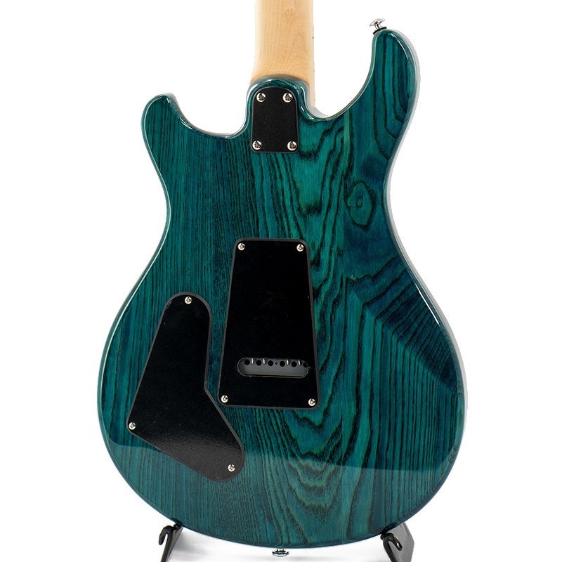 P.R.S. SE Swamp Ash Special (Iri Blue) 画像3