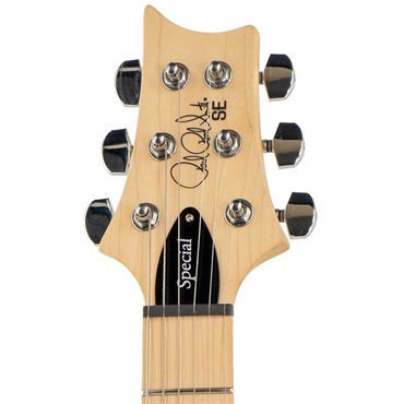 P.R.S. SE Swamp Ash Special (Iri Blue) 画像5