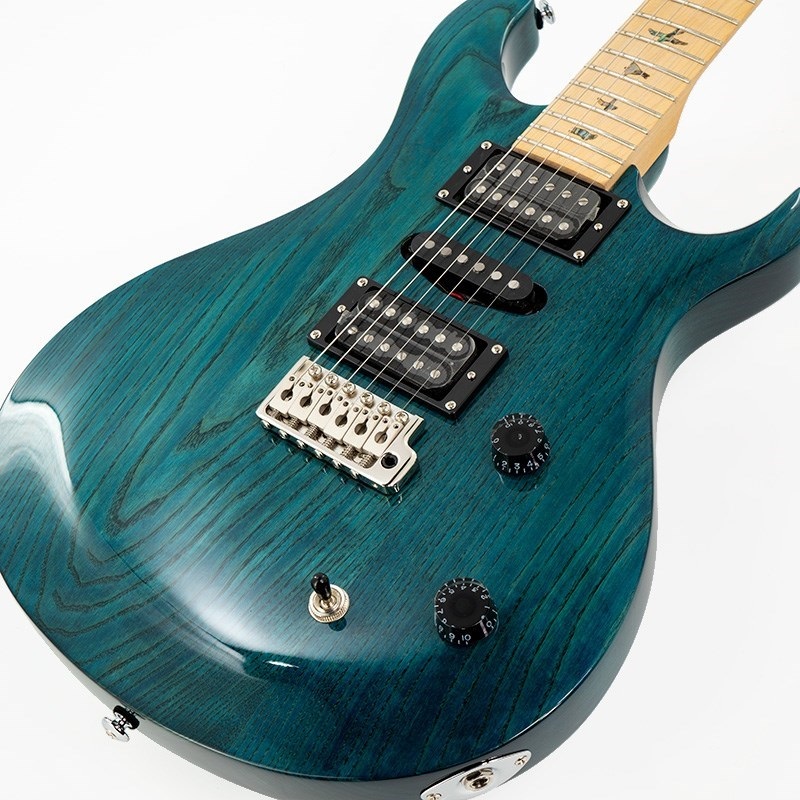 P.R.S. SE Swamp Ash Special (Iri Blue) 画像6
