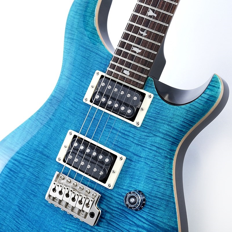 P.R.S. SE Custom 24 (Blue Matteo) 画像3