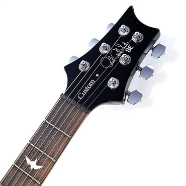 P.R.S. SE Custom 24 (Blue Matteo) 画像8