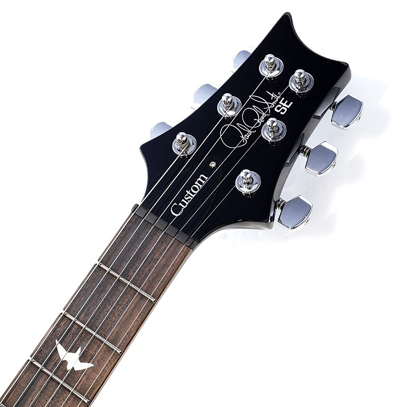P.R.S. SE Custom 24 (Blue Matteo) 画像8