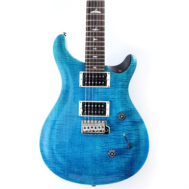 P.R.S. SE Custom 24 (Blue Matteo) 画像9