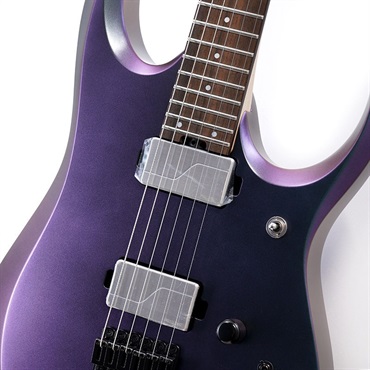 Ibanez Prestige RGD3121-PRF [SPOT MODEL] 【特価】 画像3