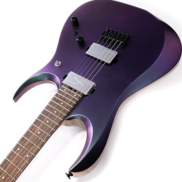 Ibanez Prestige RGD3121-PRF [SPOT MODEL] 【特価】 画像5