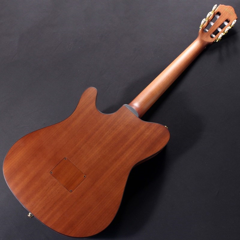 Ibanez FRH10N-RGF [SPOT MODEL] 画像2