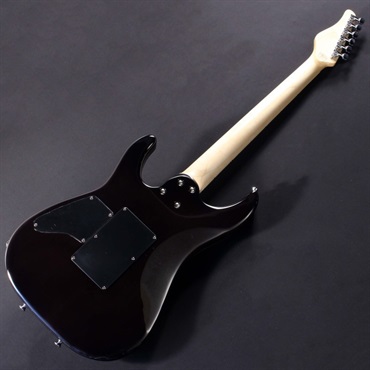 Platinum Schecter Guitar Research Custom Shop Sunset 24-6