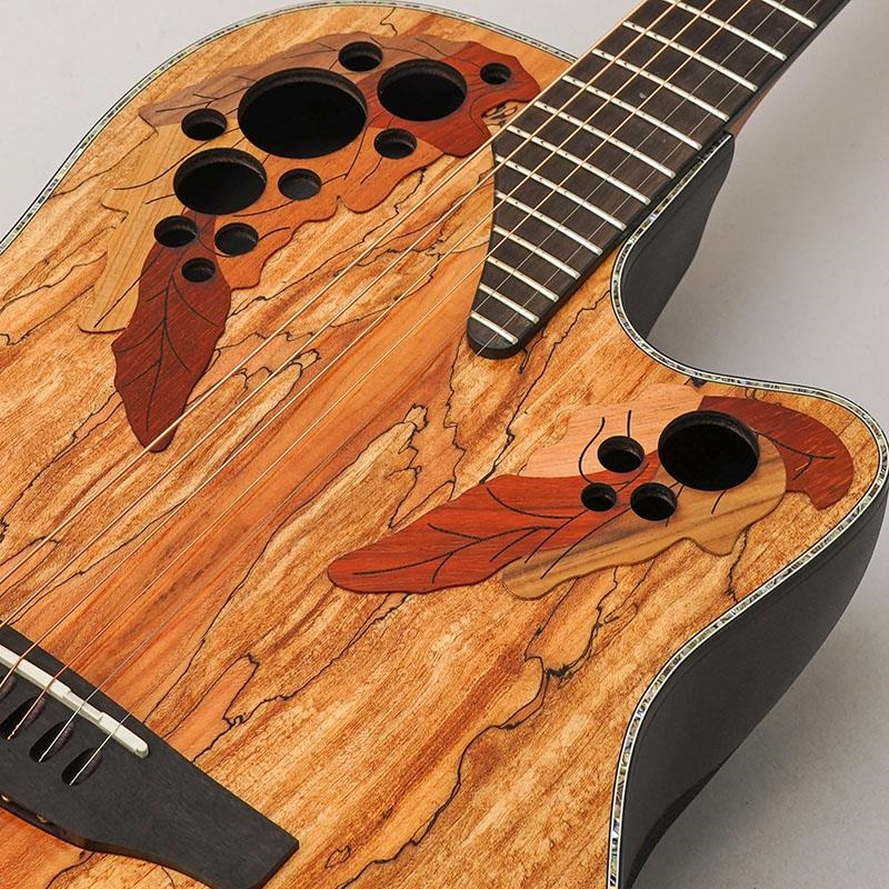 OVATION 【クリスマスセール】【数量限定特価】Celebrity Elite Exotic