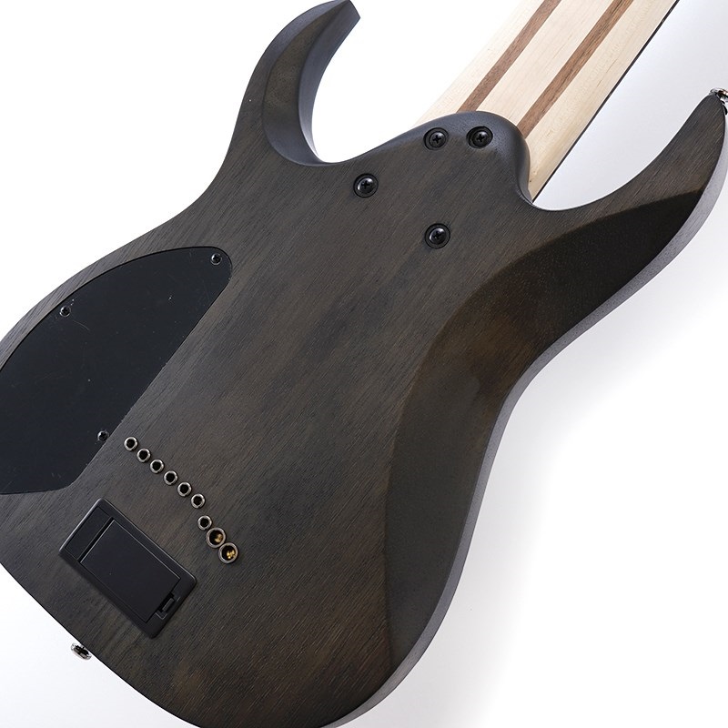 Ibanez Axe Design Lab RG9PB-TGF ｜イケベ楽器店オンラインストア