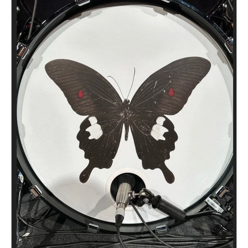 EARTHWORKS DM6 KICK DRUM MICROPHONE 画像1