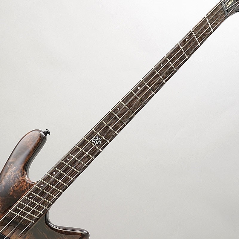 SPECTOR NS Dimension MS 4 (Super Faded Black) 【特価】 ｜イケベ 