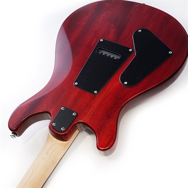 P.R.S. SE CE 24 STANDARD SATIN(Vintage Cherry) 画像6