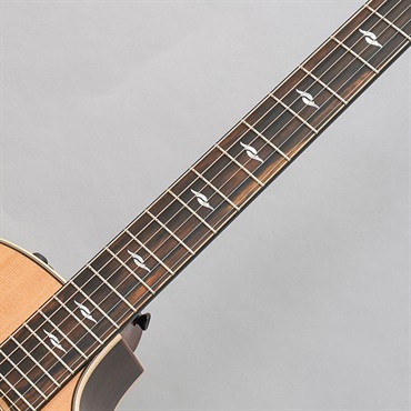 TAYLOR 814ce V-Class テイラー 画像8