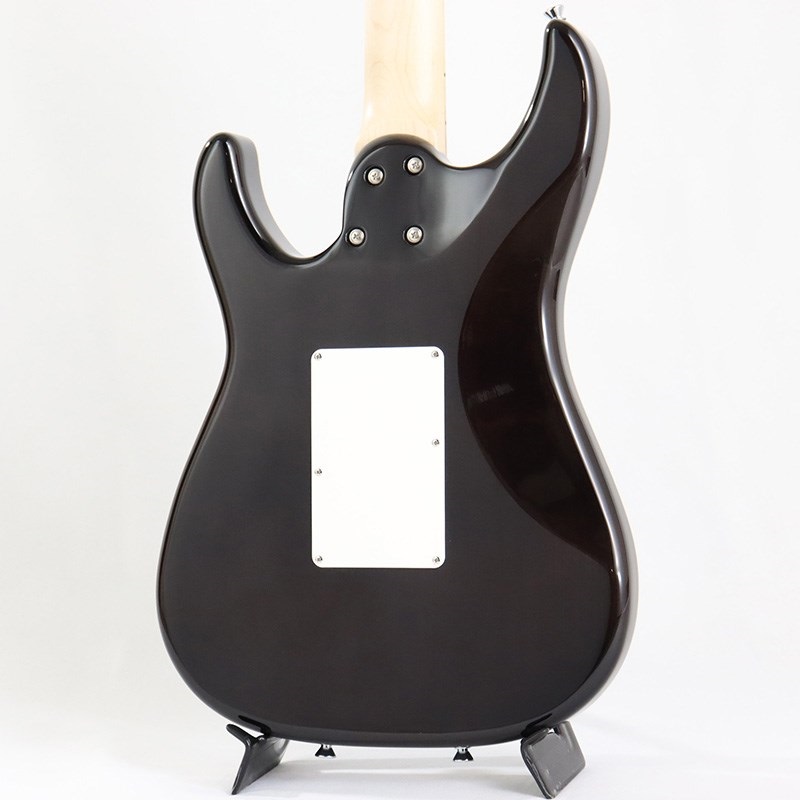 SCHECTER SD-2-24 限定カラー　ソリッドブラック SCHECTER SD-2-24-BW/M See Through Black 税込販売価格 ￥79,800