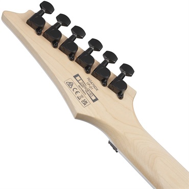 Ibanez RG470DX-SFM [SPOT MODEL] 画像5