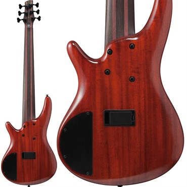 Ibanez Premium SR1426B-CGL [SPOT MODEL] 【値上げ前旧価格品