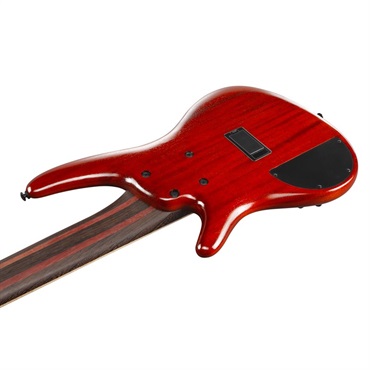 Ibanez Premium SR1426B-CGL [SPOT MODEL]  【値上げ前旧価格品】 画像3