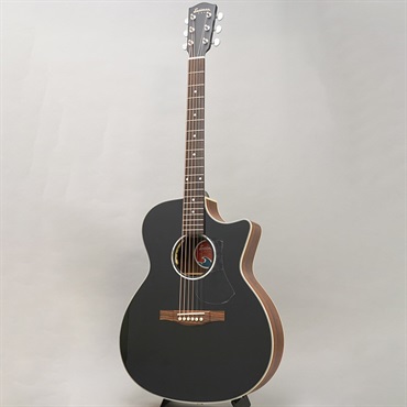 EASTMAN PCH2-GACE BLK イーストマン ｜イケベ楽器店オンライン
