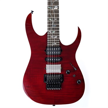 ★大人気商品★ Axe j.custom Ibanez Design SN.F2433487 RG8870-AGT Lab 着せ替え服・アウトフィット