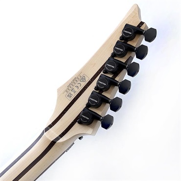 Ibanez j.custom Axe Design Lab RG8870-BRE SN.2603430 画像9