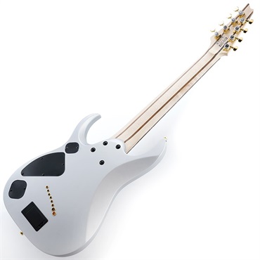 IbanezRGDMS8 -CSM(Classic Silver Matte)- 《8弦ギター》【Web