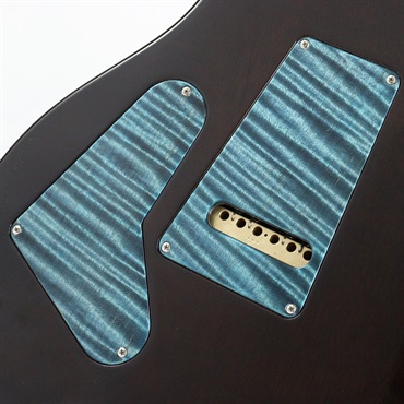 P.R.S. Private Stock #10967 Custom 24 Brazilian Rosewood Fingerboard (Sub-Zero) [SN.371170] 【2023年生産モデル】 画像5