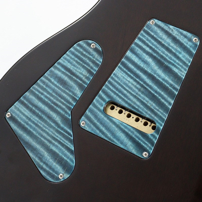 P.R.S. Private Stock #10967 Custom 24 Brazilian Rosewood Fingerboard (Sub-Zero) [SN.371170] 【2023年生産モデル】 画像5