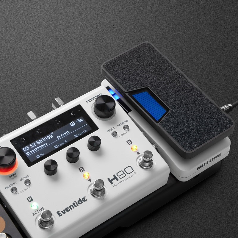 HOTONE TUNER PRESS 画像9