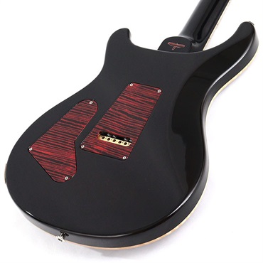 P.R.S. Private Stock #10968 Custom 24 Brazilian Rosewood