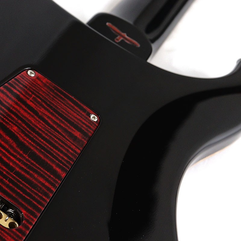 P.R.S. Private Stock #10968 Custom 24 Brazilian Rosewood P.R.S. Private Stock #10968 Custom 24 Brazilian Rosewood