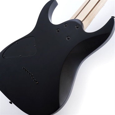 Ibanez RG8EX-BKF (Black Flat) 画像7